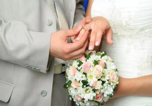 诉讼代理人可以调取证据吗